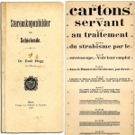 Stereocards / Steroskopenbilder fur Schielende (strabismus) by Hegg 1899 First Edition  - click to enlarge.