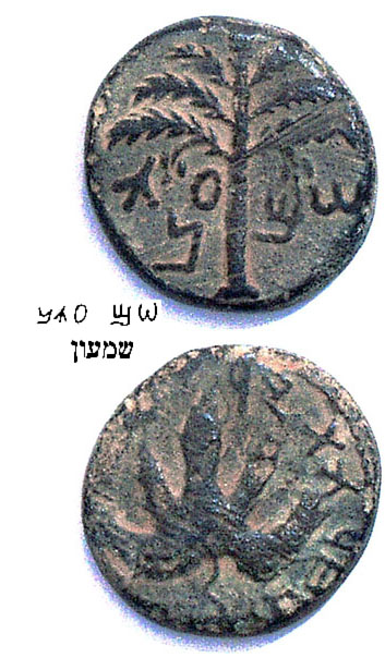 Bronze Bar Kochba Coin 'Simon'. 3ed Year Of The Jewish Revolt Against Rome (134 CE). - click to enlarge.