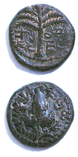 Bronze Bar Kochba Coin 'Elazar the Priest'. 1st Year Of The Jewish Revolt Against Rome (132 CE). - click to enlarge.